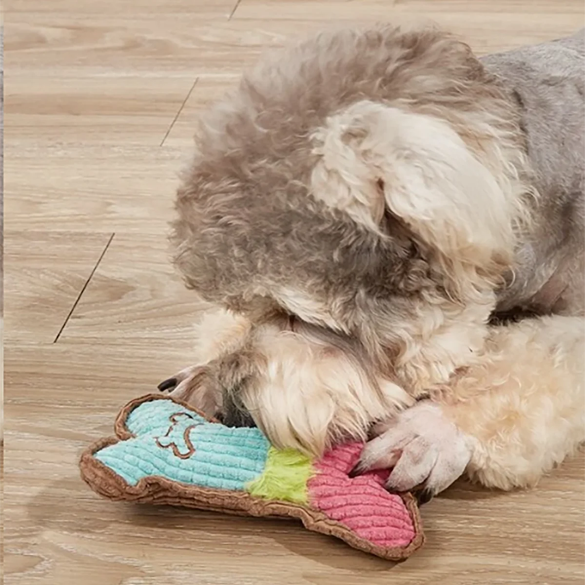 LunaChew: Plush Squeaky Bone Toy