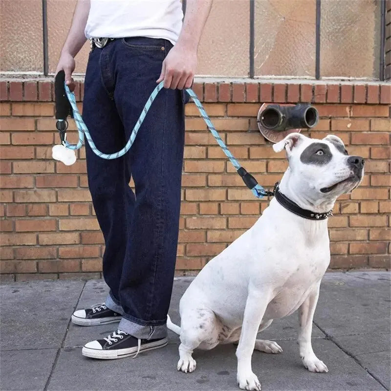 LunaStride: Reflective Rope Leash