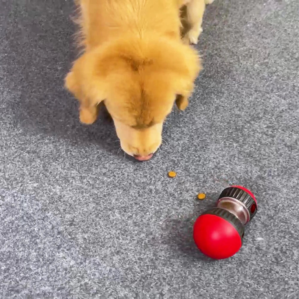 LunaPuzzle: Interactive Treat Feeder