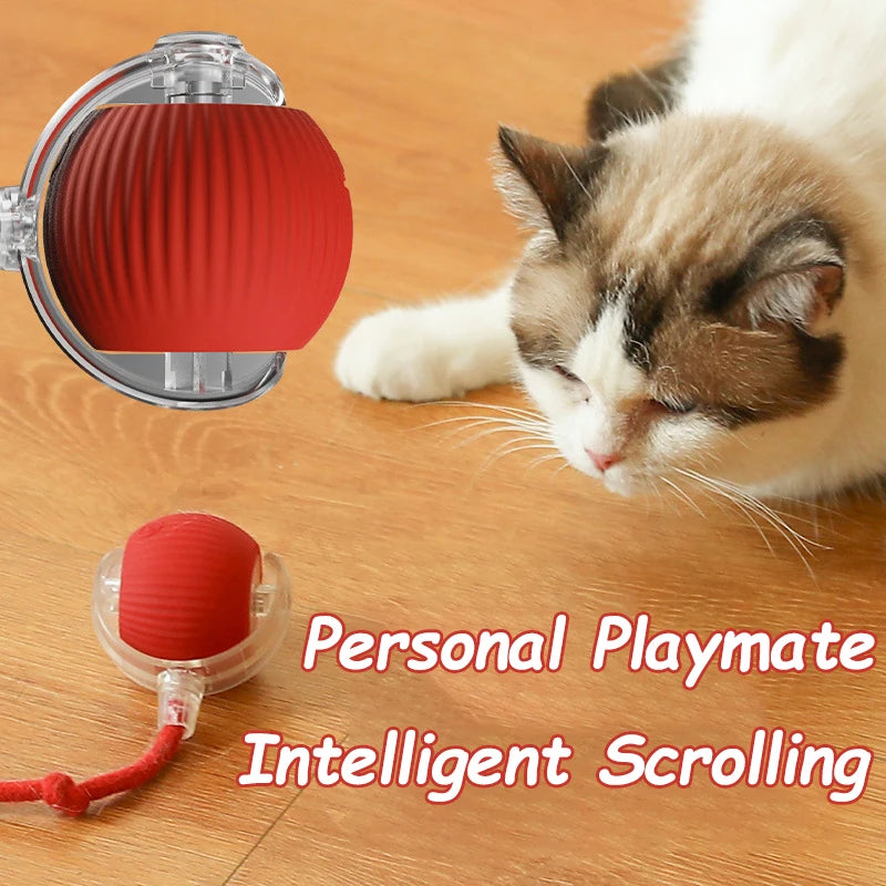 LunaBounce: Automatic Electric Moving Ball